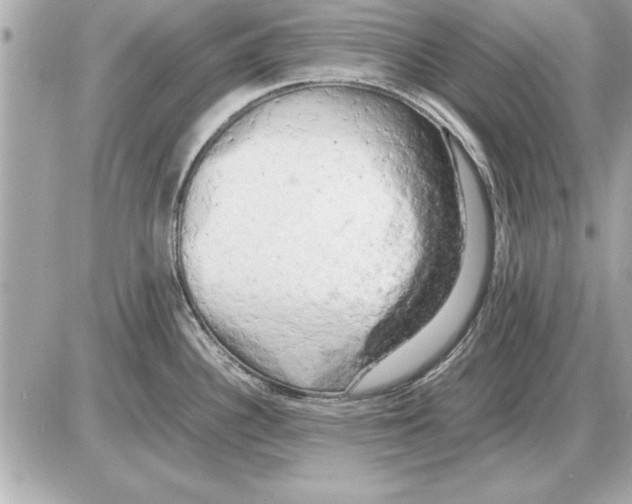 X0000085271340200704092130