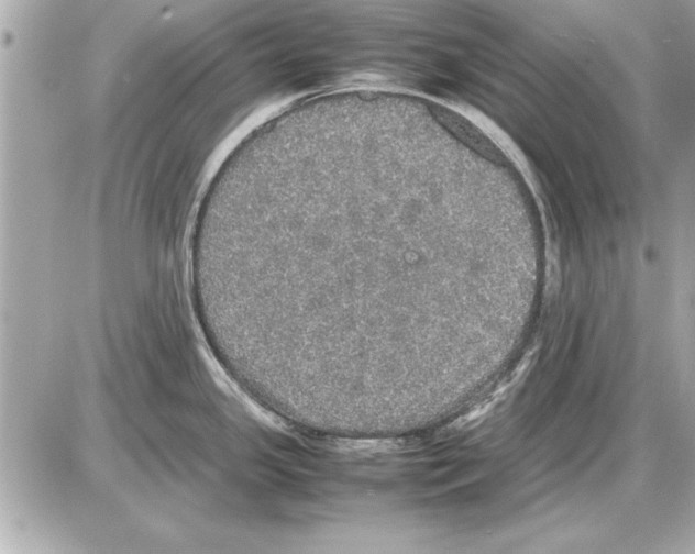 X0000085271341200704092130