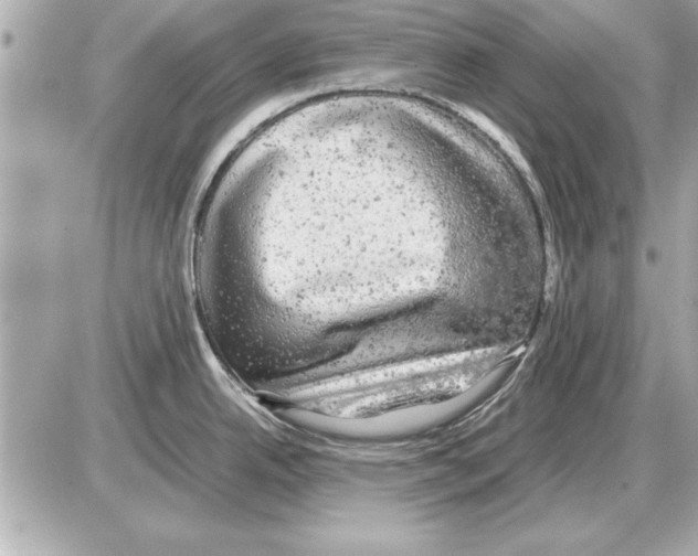 X0000085271342200704092130