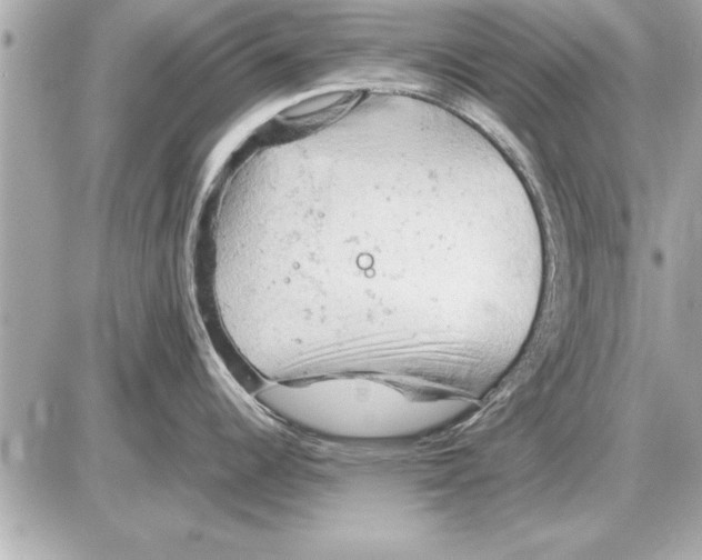 X0000085271344200704092130