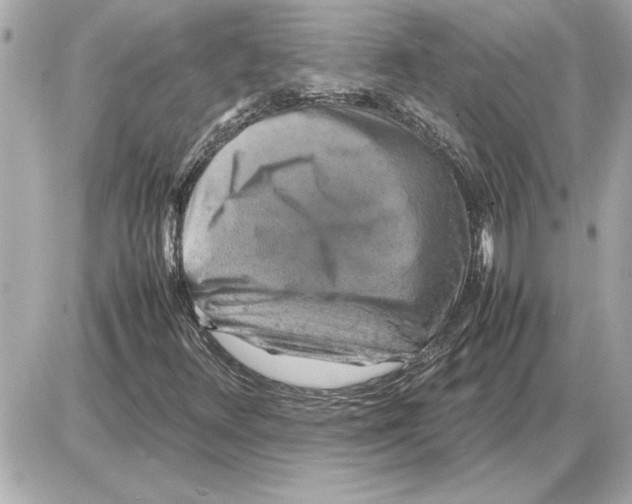 X0000085271348200704092129