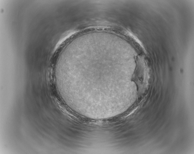 X0000085271352200704092129