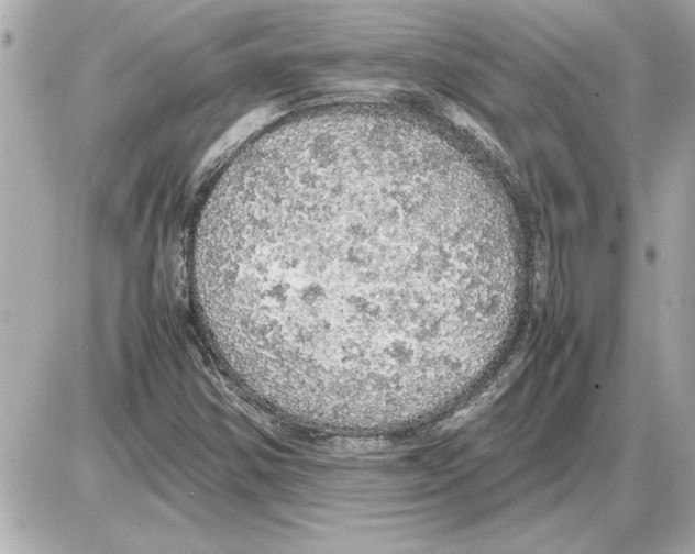 X0000085271354200704092129