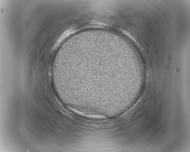 X0000085271355200704092129