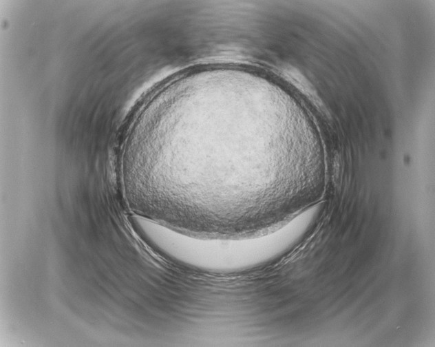 X0000085271356200704092129