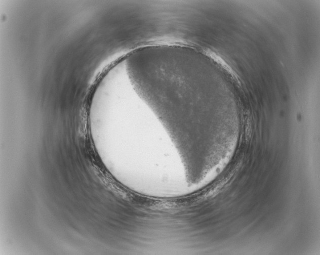 X0000085271358200704092129