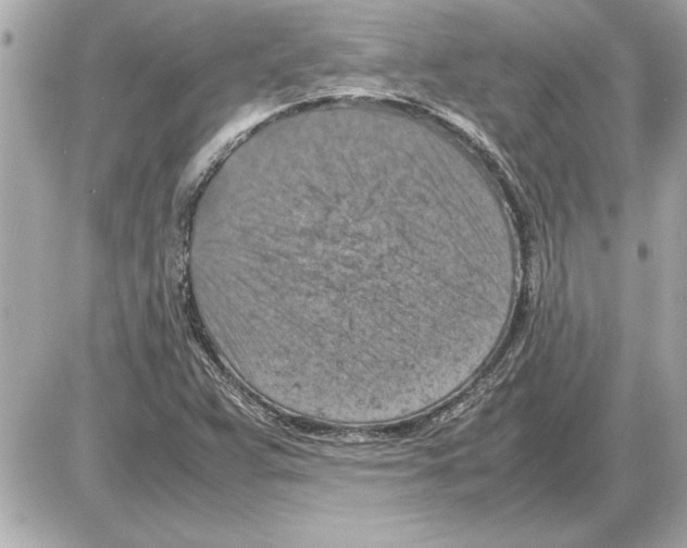 X0000085271359200704092129