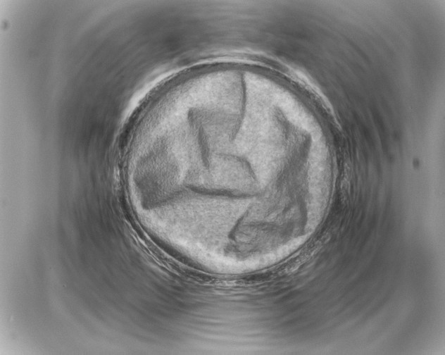 X0000085271360200704092129