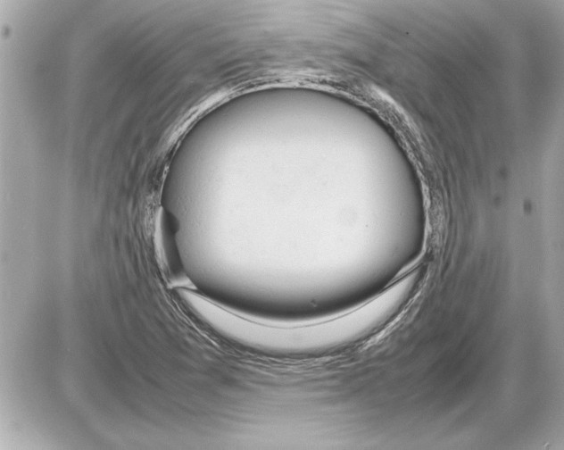 X0000085271361200704092129