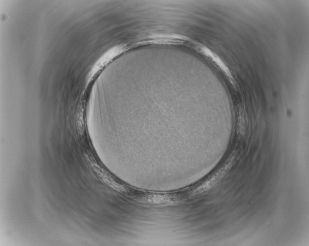 X0000085271362200704092129