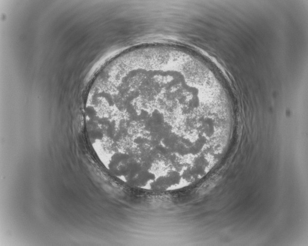 X0000085271363200704092129