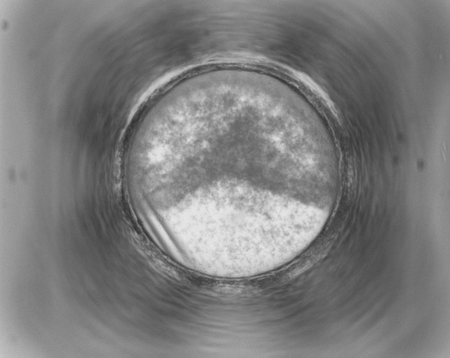 X0000085271364200704092129