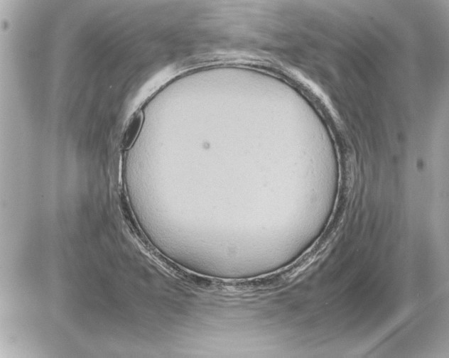 X0000085271365200704092129