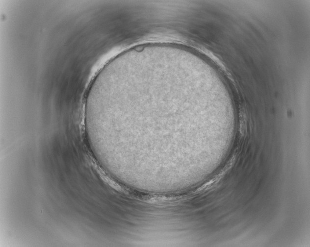 X0000085271366200704092129