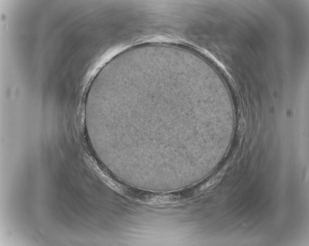 X0000085271367200704092129