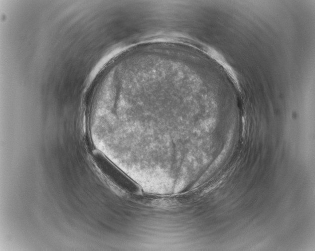 X0000085271368200704092129