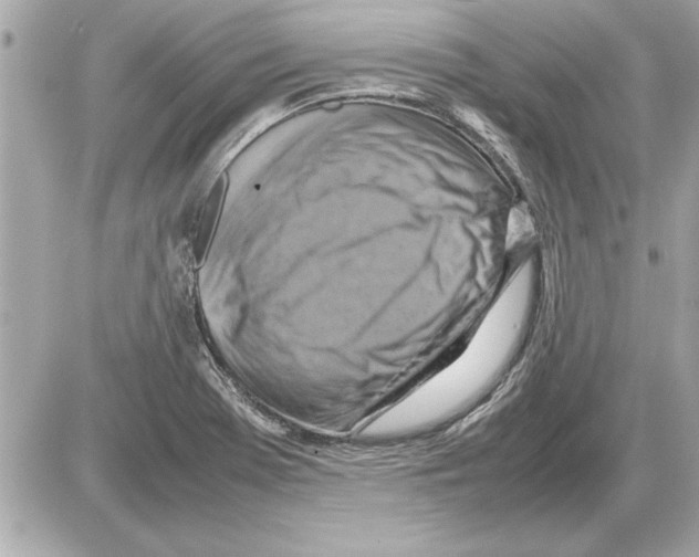 X0000085271369200704092129