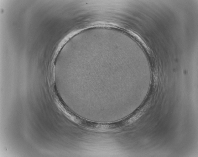 X0000085271371200704092129