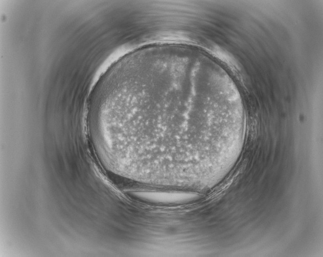 X0000085271374200704092129