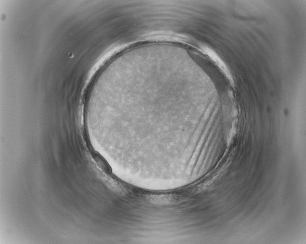 X0000085271376200704092129