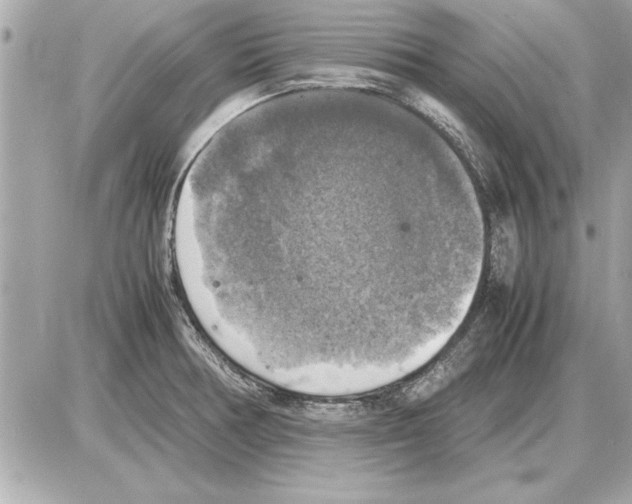 X0000085271378200704092129