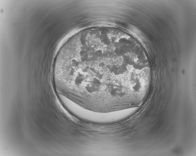 X0000085271379200704092129