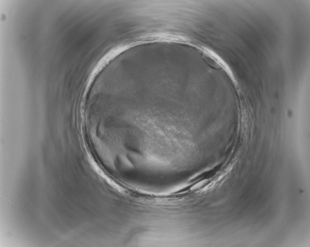 X0000085271381200704092129