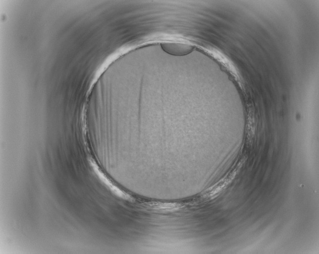 X0000085271382200704092129