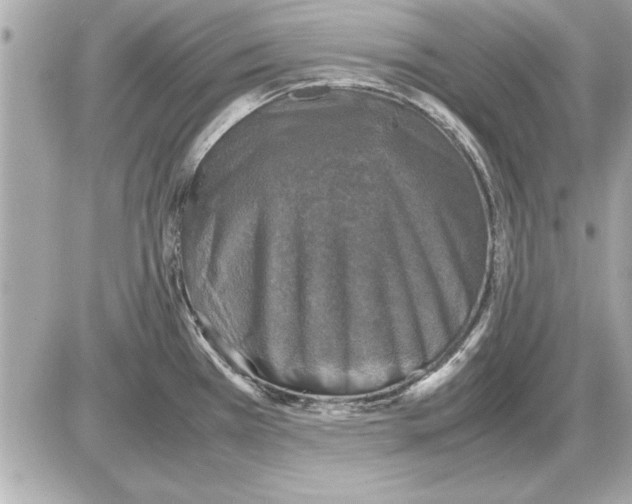 X0000085271385200704092129