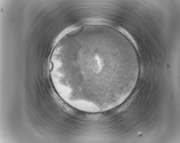 X0000085271386200704092129