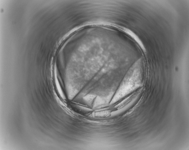 X0000085271388200704092129