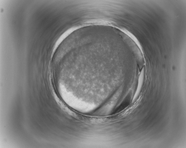 X0000085271389200704092129