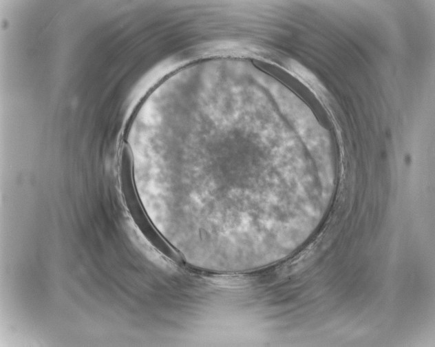 X0000085271392200704092129