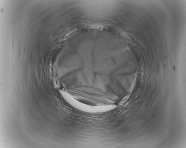 X0000085271394200704092128