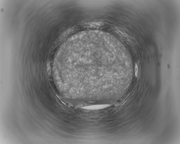 X0000085271395200704092128