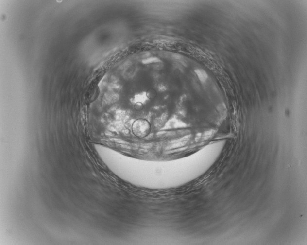 X0000085271397200704092128