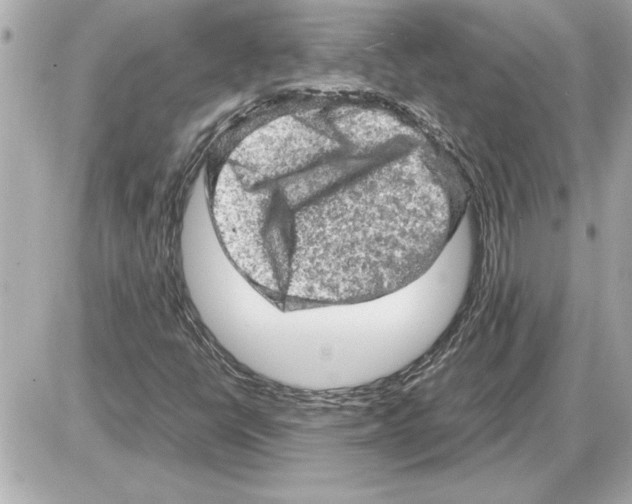 X0000085271398200704092128