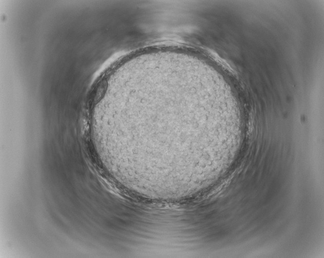 X0000085271400200704092128