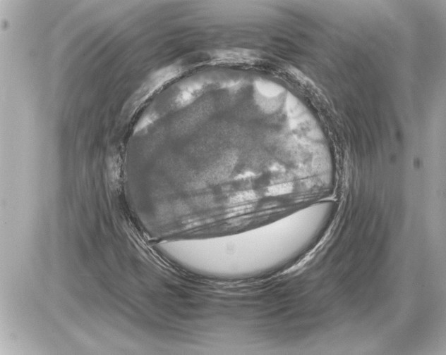 X0000085271401200704092128