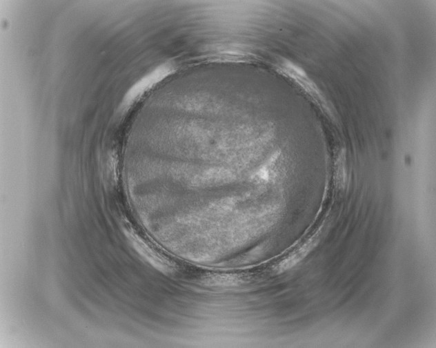 X0000085271402200704092128