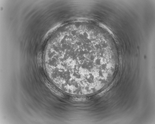 X0000085271403200704092128