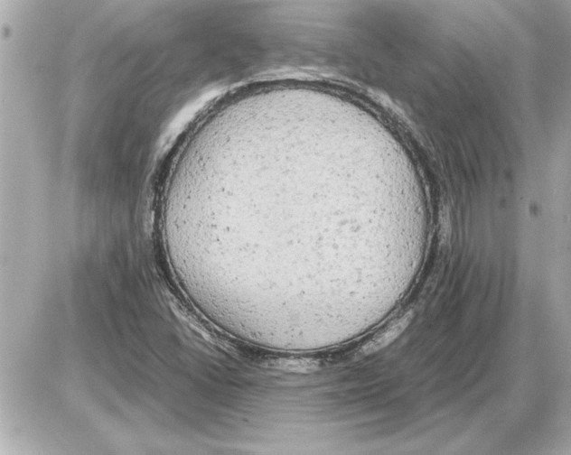 X0000085271406200704092128