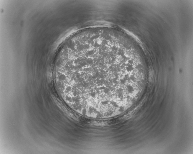 X0000085271407200704092128