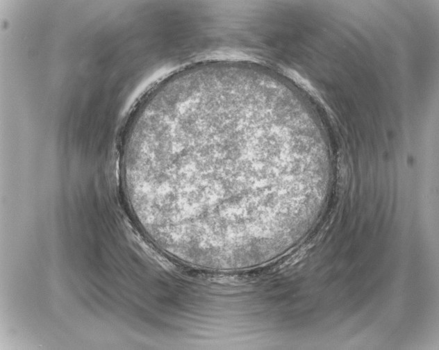 X0000085271408200704092128