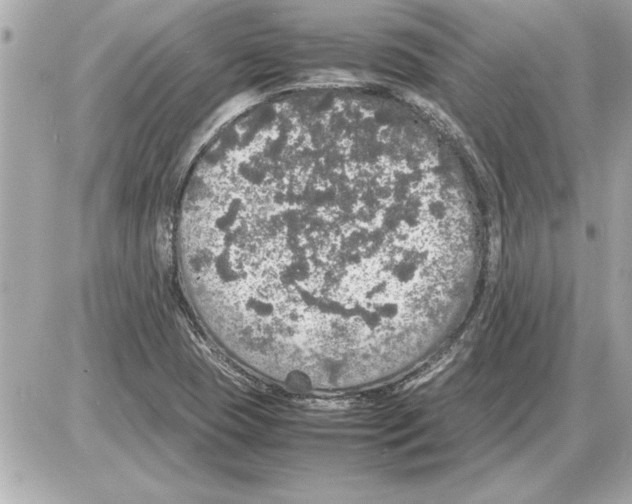 X0000085271409200704092128