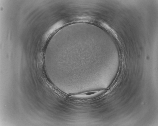 X0000085271411200704092128