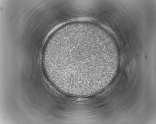 X0000085271412200704092128