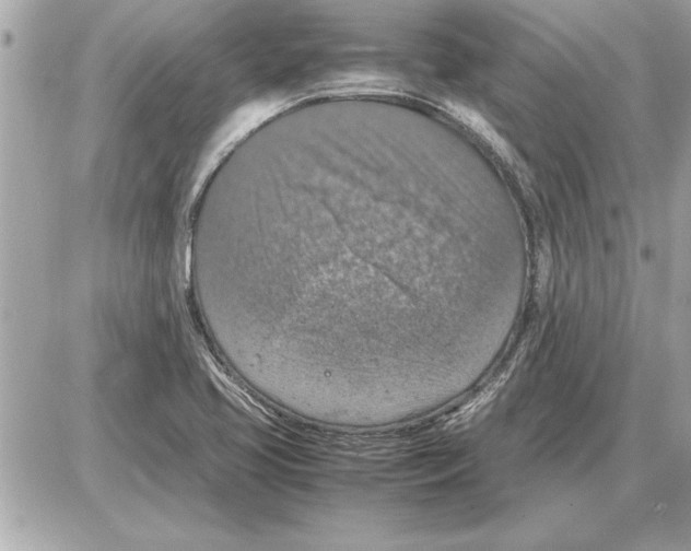 X0000085271413200704092128