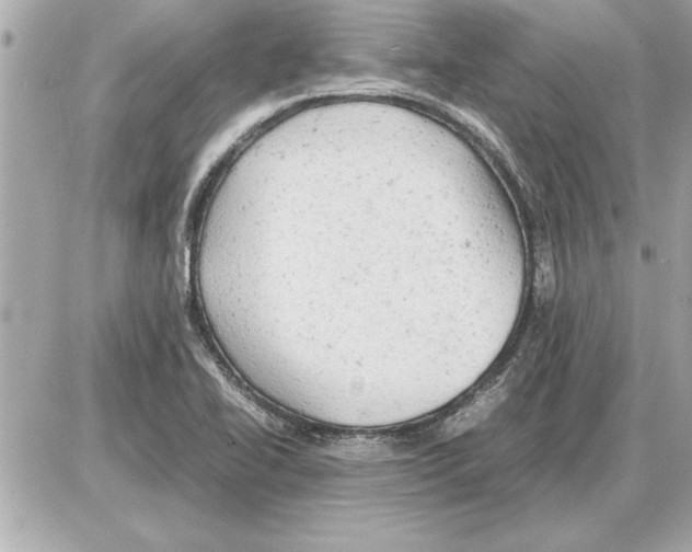 X0000085271414200704092128