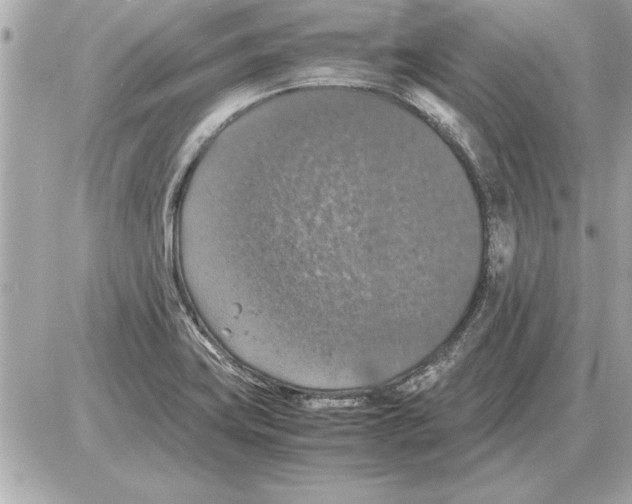 X0000085271419200704092128